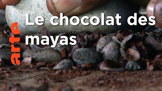 Documentaire Belize, le cultivateur de cacao