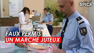 Documentaire Faux permis : un marché juteux