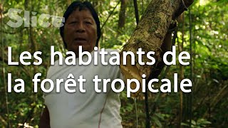 Documentaire Les gardians de la forêt en Guyane française