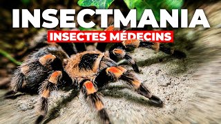 Documentaire Insectmania – Insectes Médecins