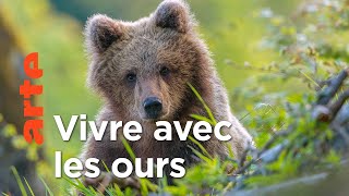 Documentaire Le retour des ours