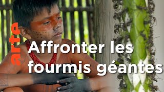 Documentaire Amazonie : devenir un homme | Rituels du monde