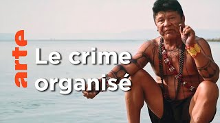 Documentaire Amazonie – Enquête au coeur des luttes indigènes