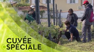 Comment les agriculteurs et viticulteurs s'en sortent?