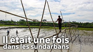 Il était une fois dans les Sundarbans