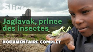 Documentaire Jaglavak, prince des insectes