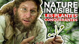 Nature invisible - Les plantes conquérantes