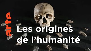 Documentaire Homo sapiens, les nouvelles origines