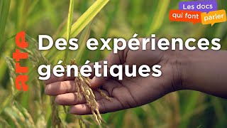 Documentaire L’Afrique, les OGM et Bill Gates