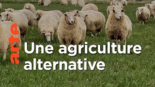 Documentaire Le bétail : un bien ou un mal pour le climat ?