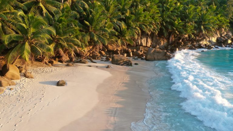 Article | Premier voyage aux Seychelles : petit guide des informations essentielles