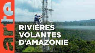 Le mystère des rivières volantes d'Amazonie