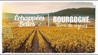 La Bourgogne, terre de vignes