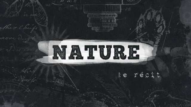Documentaire Nature – Le Récit