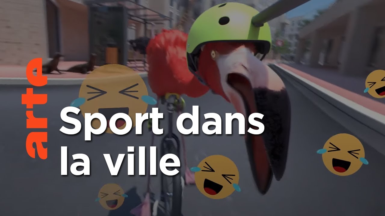 Documentaire Quand les animaux s’essayent aux sports urbains