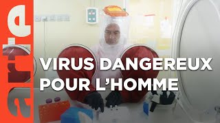 Documentaire Épidémies : la menace invisible