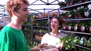 Documentaire Du vert en ville, le boom des jardineries urbaines