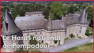 Documentaire Le Haras national de Pompadour