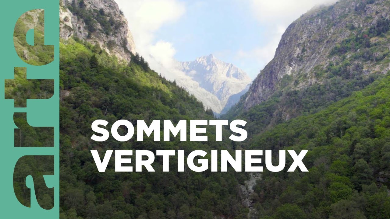 Documentaire La région de la Jungfrau | La Suisse sauvage
