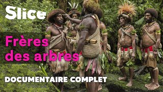 Documentaire L’incroyable histoire de l’ambassadeur des forêts
