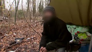 Documentaire La vie difficile dans le bois de Vincennes