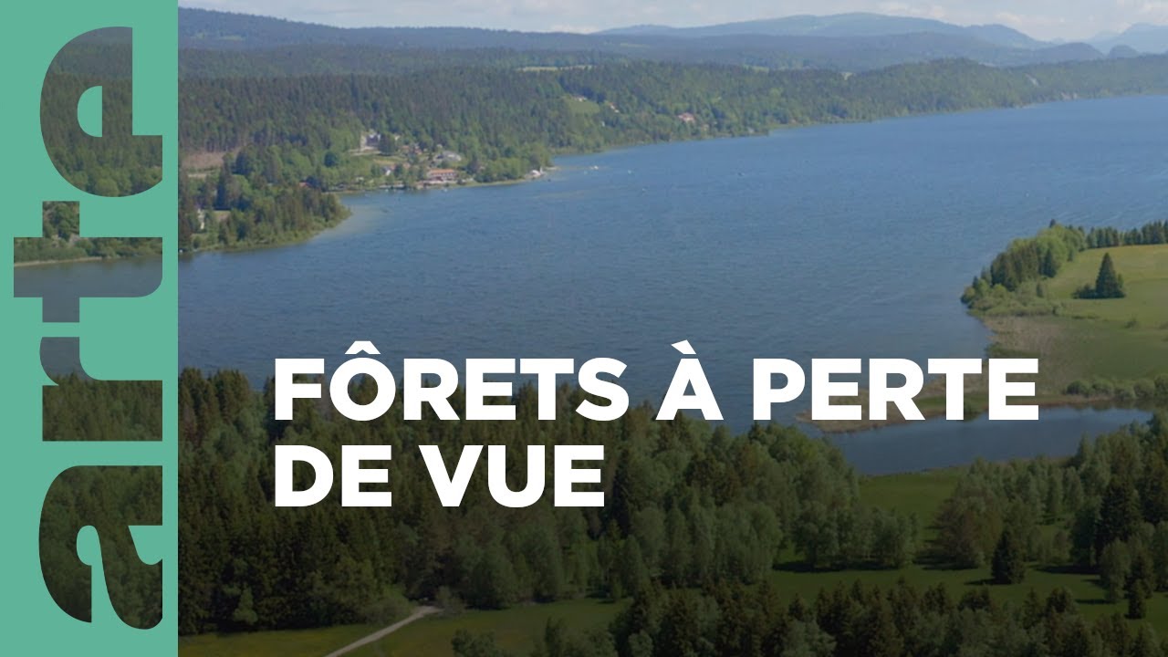 Le parc naturel Jura vaudois  | La Suisse sauvage