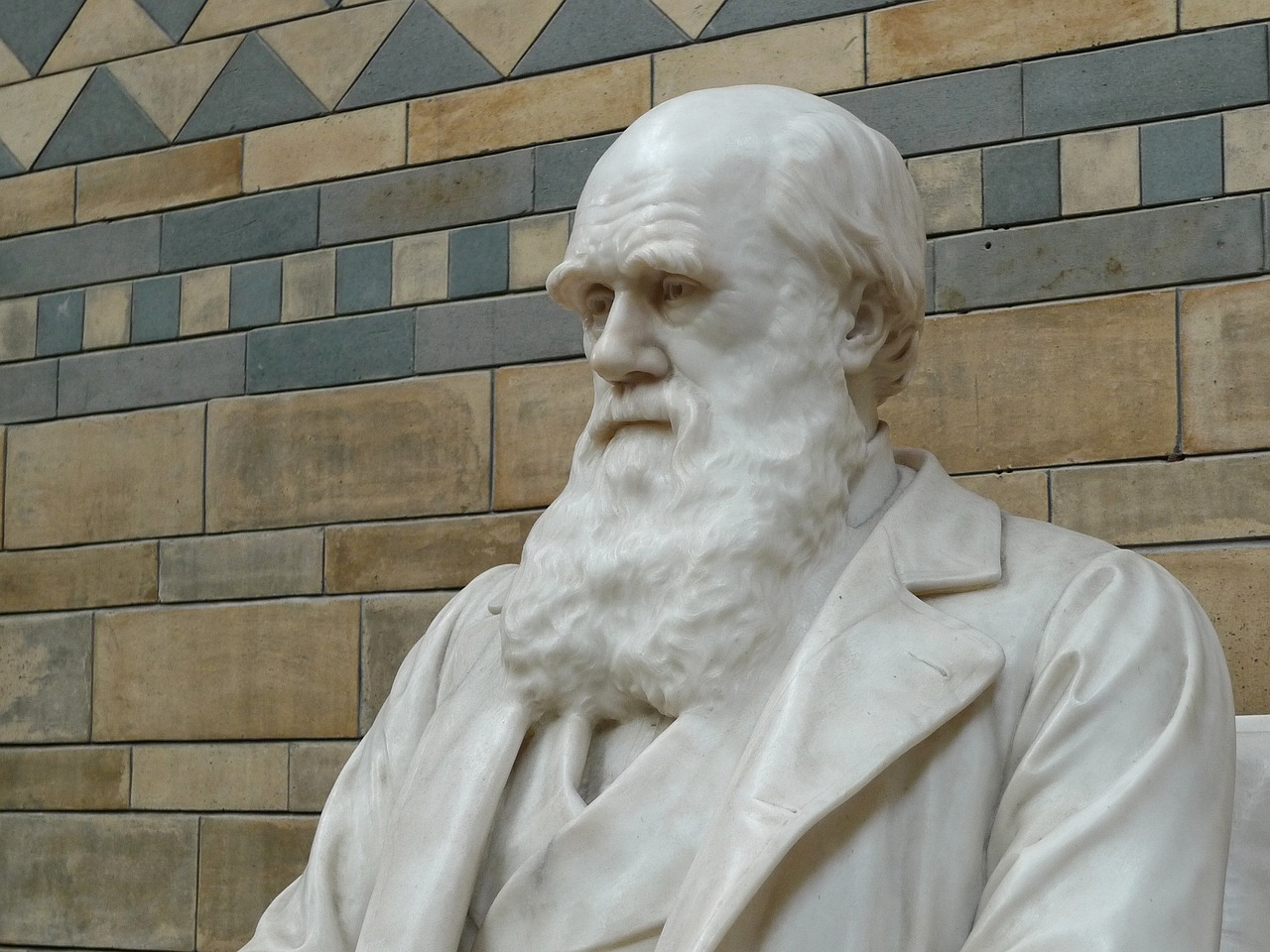 Documentaire Charles Darwin en bref