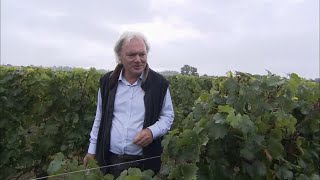 Documentaire Hubert de Boüard, un vigneron parmi les plus grosses fortunes françaises