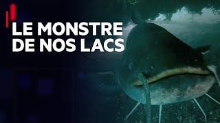 Documentaire Le monstre de nos lacs