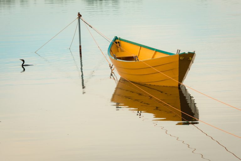 Article | Pourquoi un bateau flotte ?