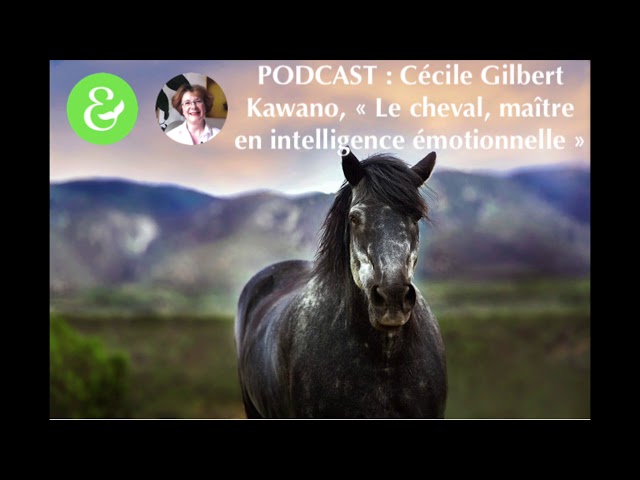 Documentaire Le cheval, maître en intelligence émotionnelle