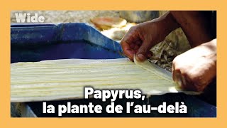 Documentaire Le Papyrus, un savoir-faire aujourd’hui ravivé