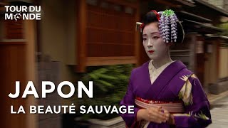 Une immersion totale dans la culture japonaise