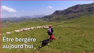 Documentaire Être bergère béarnaise