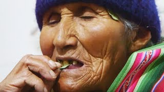 Documentaire Les Boliviens sont dingues de la coca