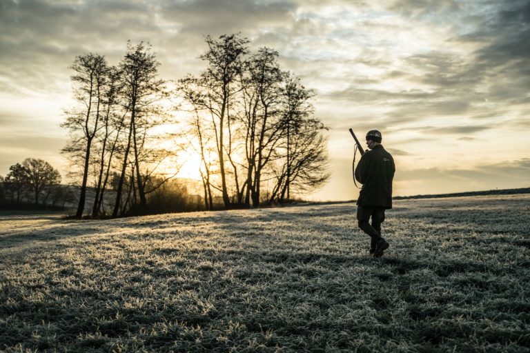 Article | Comment bien approcher les animaux sans se faire repérer à la chasse ?