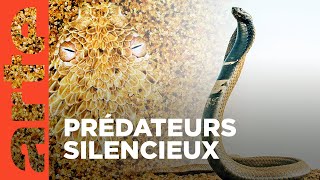 Serpents venimeux d’Afrique