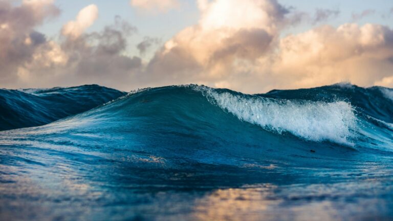 Article | Comment se forment les vagues ?