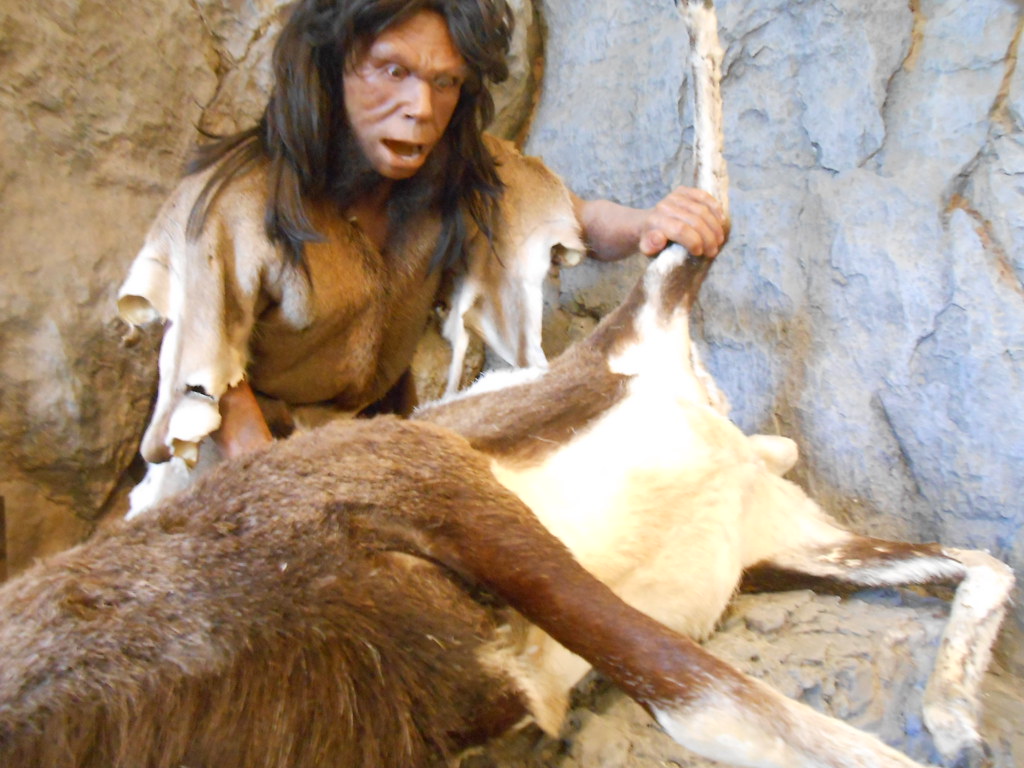 L'Homme de Tautavel: voyage dans le passé préhistorique