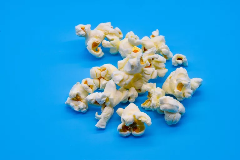 Article | Comment est fait le pop corn ?