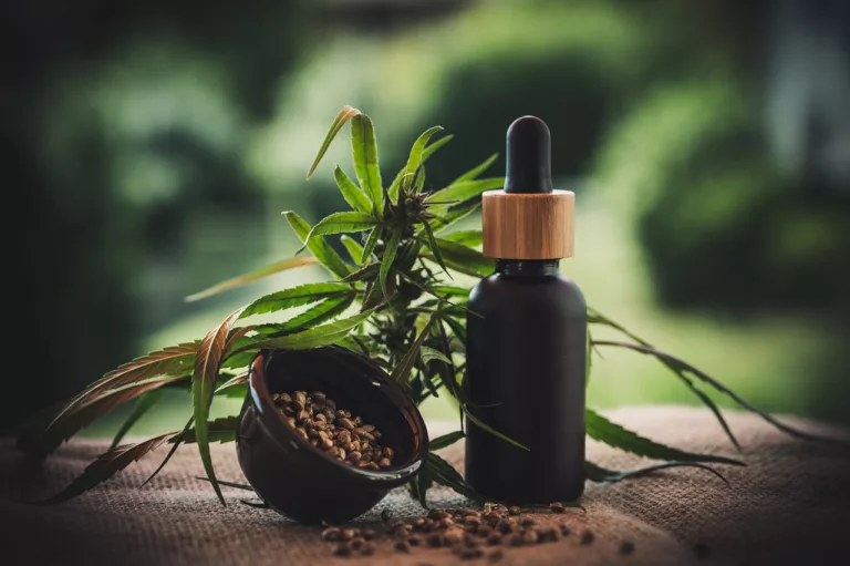 Article | Comment le CBD peut vous aider dans la vie de tous les jours ?