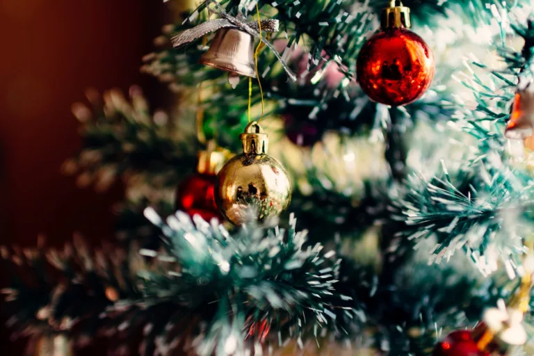 Article | D’où vient la tradition du sapin de Noël ?