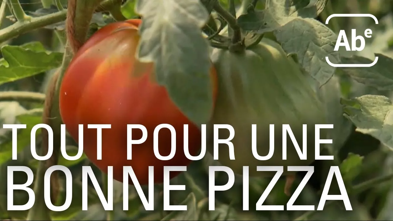 Documentaire Le bonheur est dans la tomate