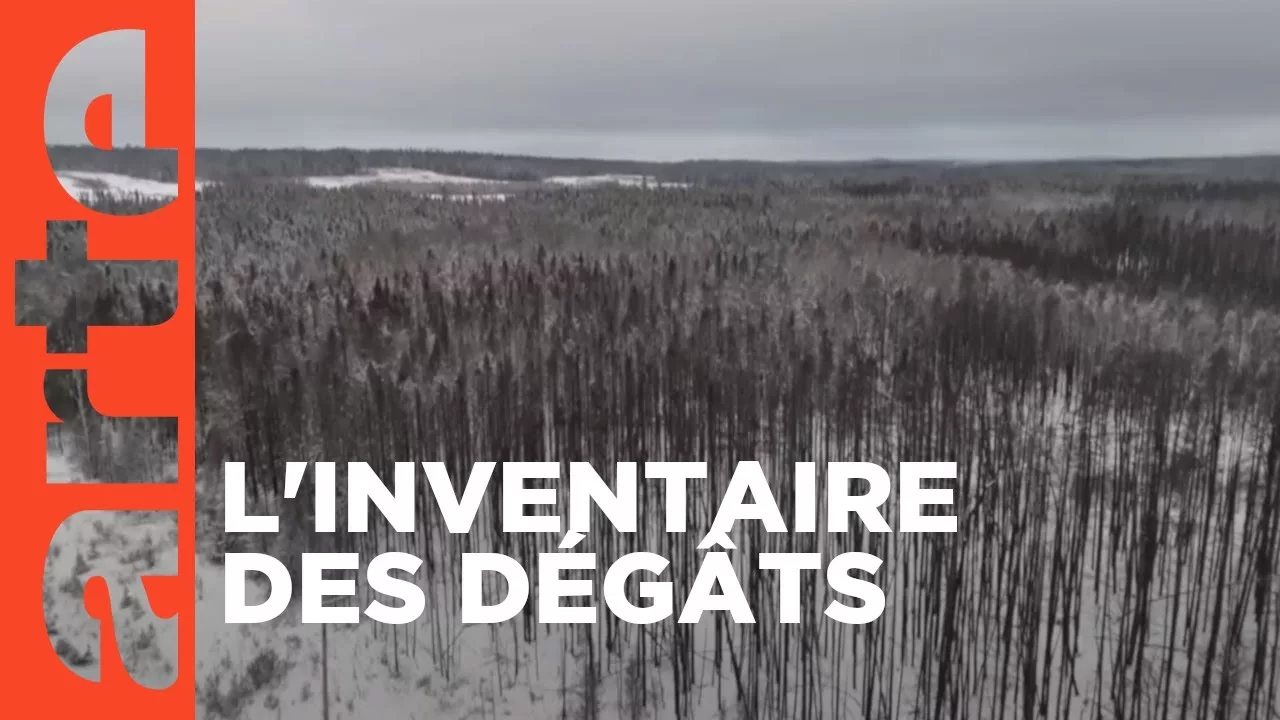 Documentaire Québec : après les incendies 