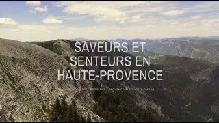 Documentaire Senteurs et saveurs en Haute-Provence