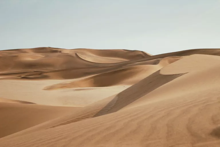 Article | D’où vient le sable ?