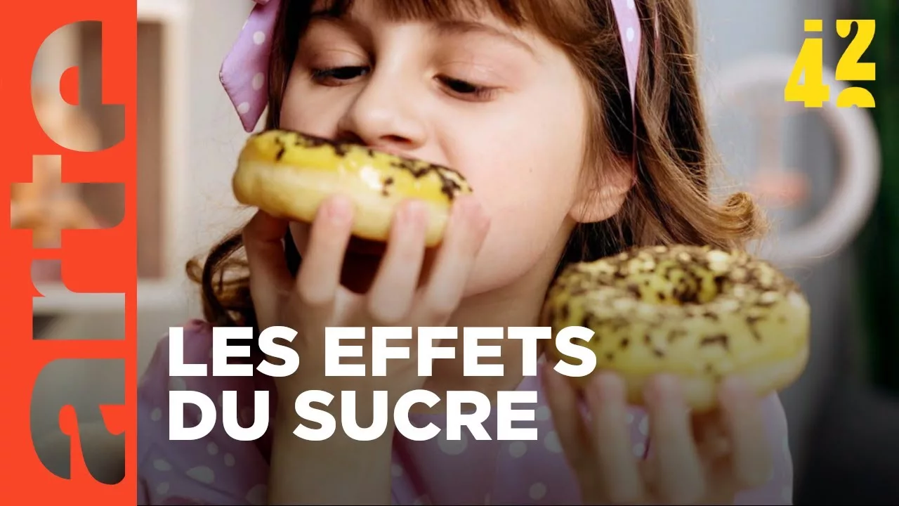 Le sucre nous rend-il bêtes ?