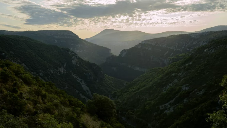 Article | Les Cévennes, sanctuaire de biodiversité