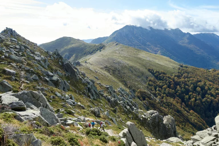 Article | En bref : la Corse au temps des Étrusques