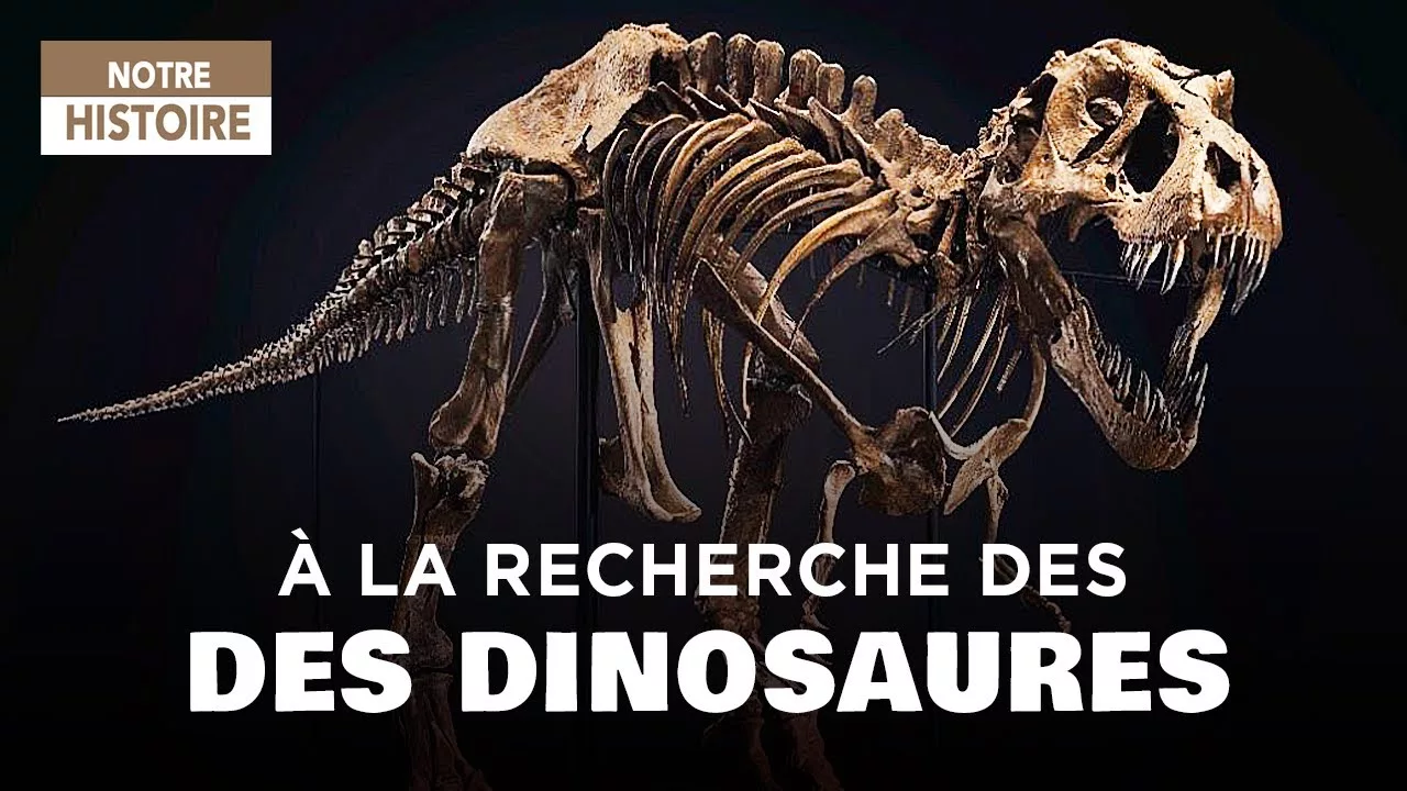 Documentaire Chasseurs de dinosaures : les paléontologues fouillent le passé